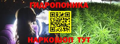 стафф Кузнецк